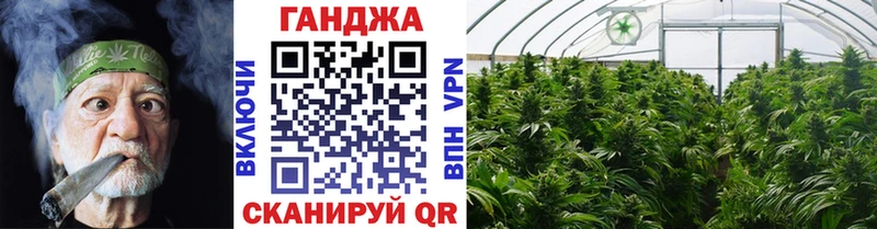 Виды наркотиков купить Кедровый мега ONION  СОЛЬ  Гашиш  МАРИХУАНА 