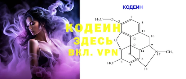 PSILOCYBIN Гусь-Хрустальный