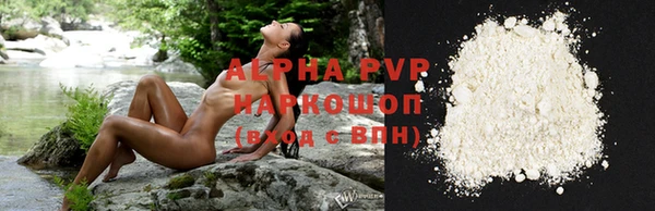 apvp Анжеро-Судженск